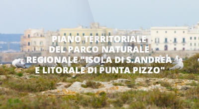 Piano Territoriale del Parco Naturale  Regionale Isola di S.Andrea e Litoral...