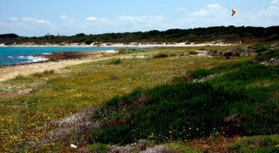 Parco naturale regionale Isola di S. Andrea e litorale di Punta Pizzo