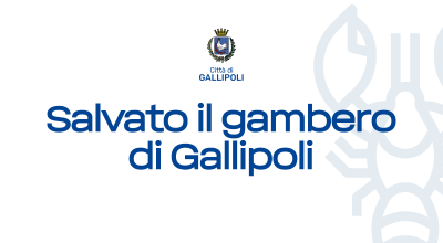 Salvato il gambero di Gallipoli. Firmato il decreto ministeriale che rimodula...