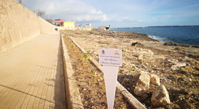 Comunicato Stampa - Adotta un'aiuola, l'amore per l'ambiente sposa l'amore pe...