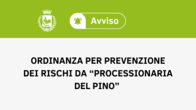 Processionaria del pino: informazioni utili e comportamenti da adottare
