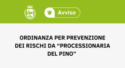 Processionaria del pino: informazioni utili e comportamenti da adottare