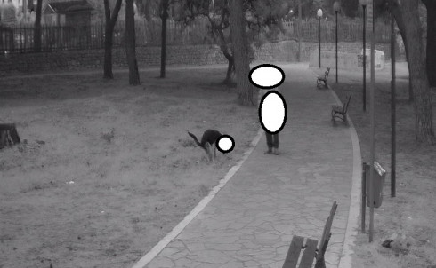 Nuove sanzioni dal Comando di Polizia Locale: sotto la lente le deiezioni canine non raccolte e la mancata custodia dei cani