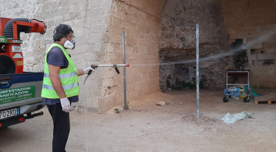 Intervento Spiaggia della Purità Assessore al Centro Storico Palumbo: ...