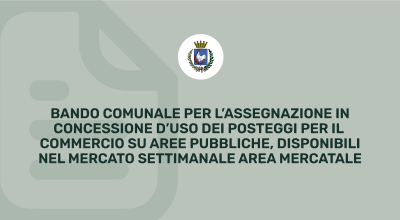 Bando Comunale per l'assegnazione in concessione d'uso dei posteggi per il co...